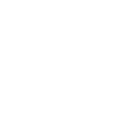 BVB Dortmund
